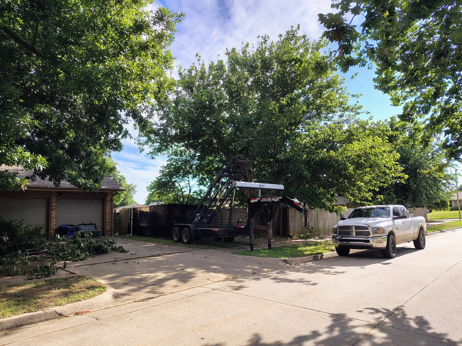 Large tree standing over a front yard and driveway before removal by Wild Axe Arborists