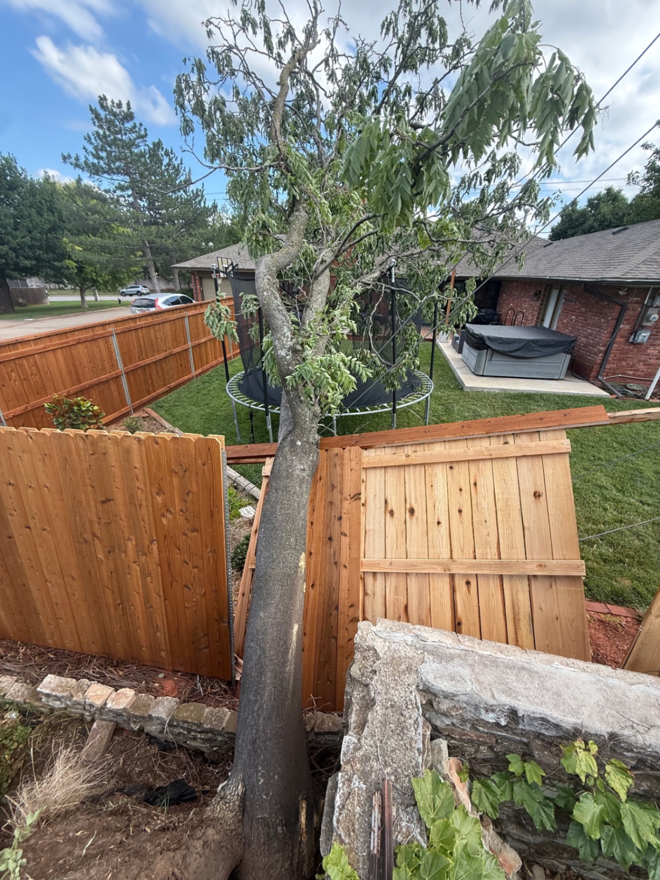 Uprooted tree damaging fence after an Oklahoma storm