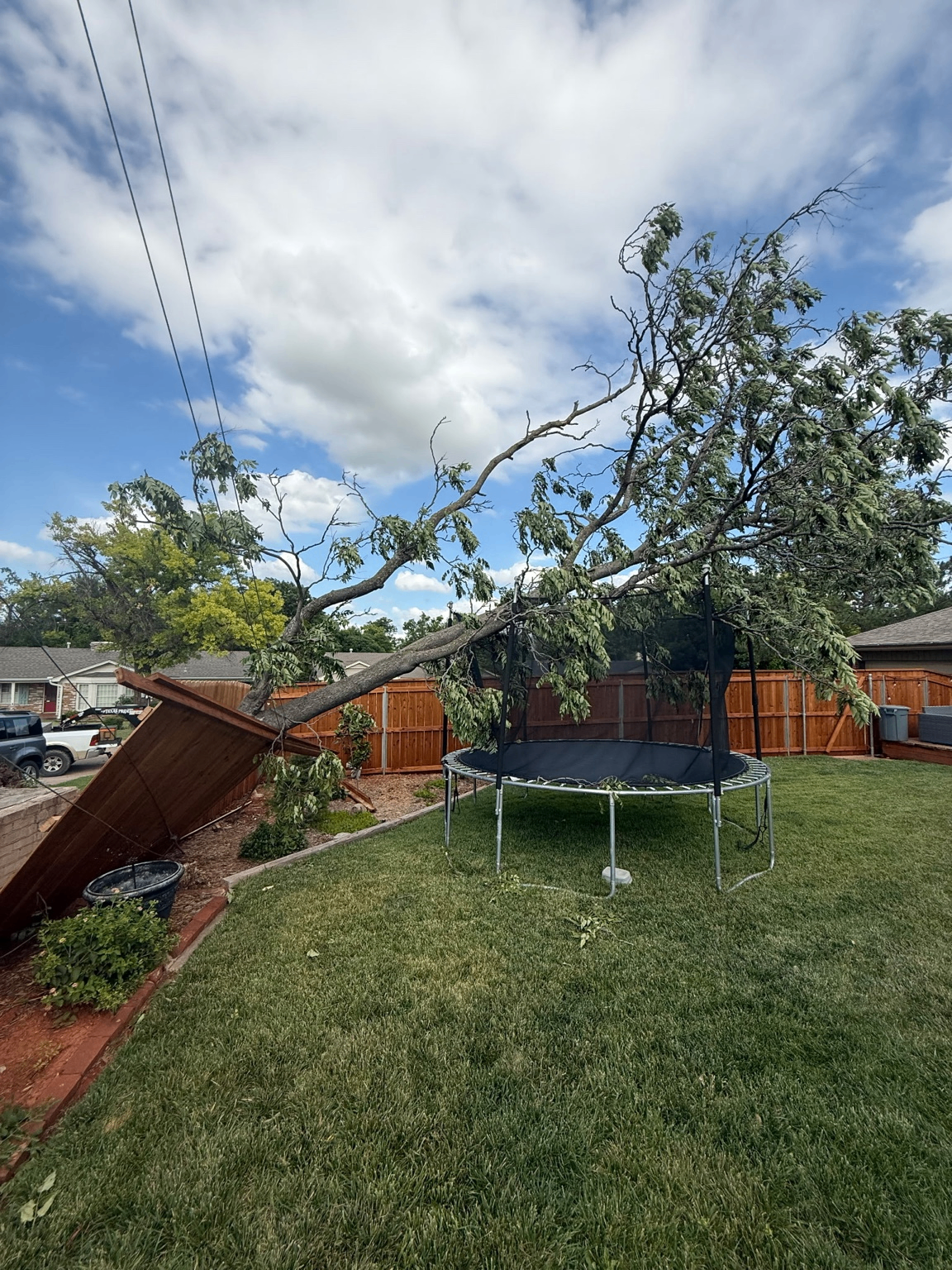 Storm-damaged tree fallen across a backyard and trampoline before removal by Wild Axe Arborists