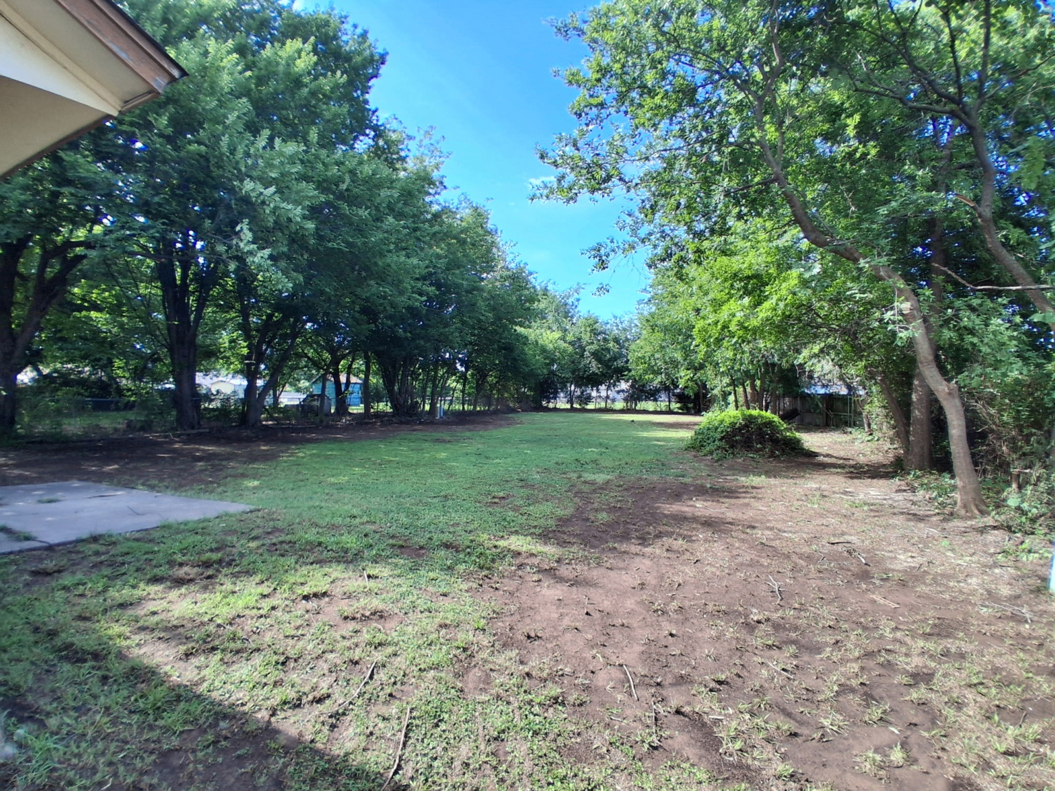 Backyard fully cleaned and cleared of branches after cleanup by Wild Axe Arborists